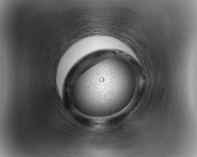 X0000088900564200706081308