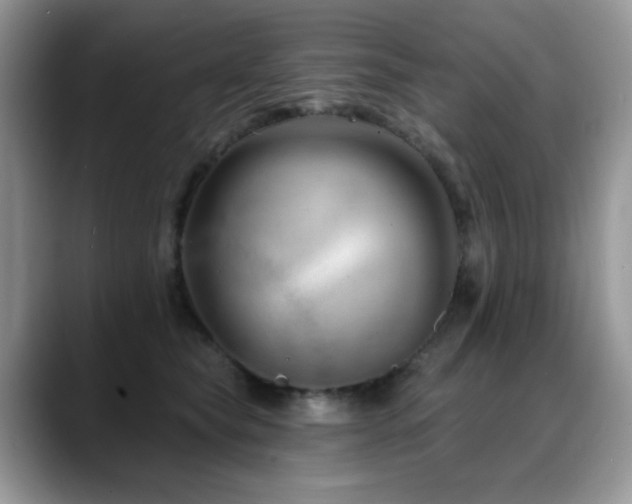 X0000088900565200706081308