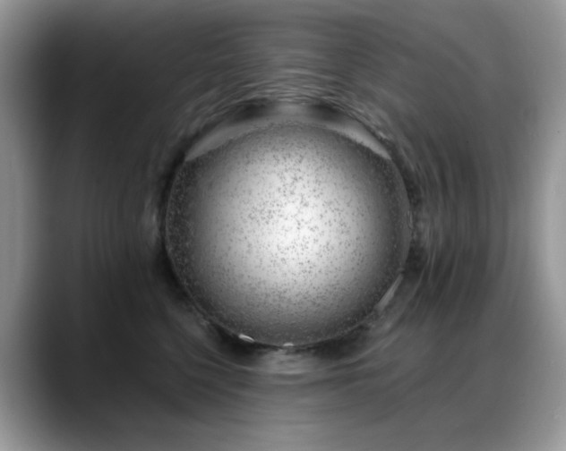 X0000088900568200706081308
