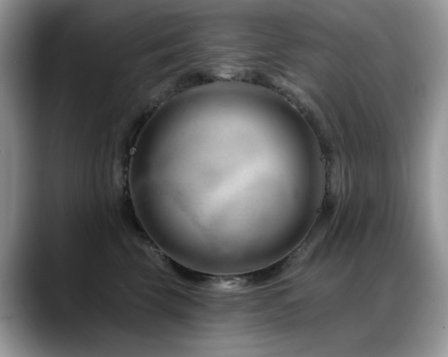X0000088900569200706081308