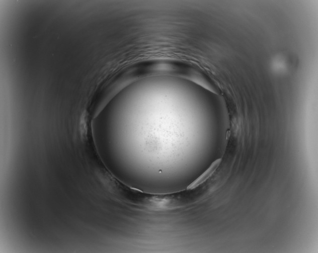 X0000088900570200706081308