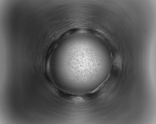 X0000088900572200706081308