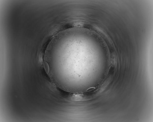 X0000088900573200706081308