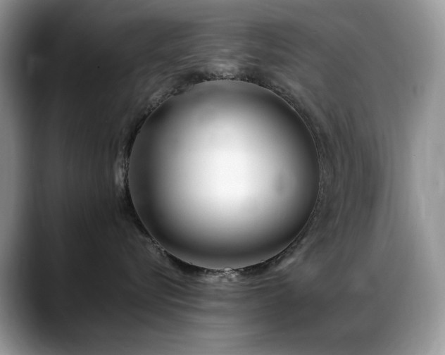 X0000088900576200706081308