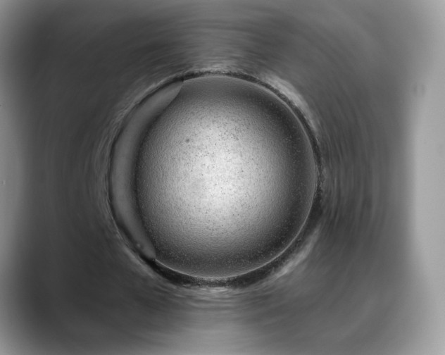 X0000088900577200706081307