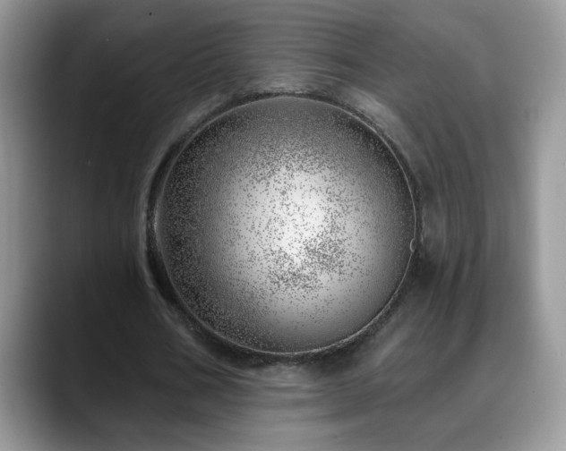 X0000088900578200706081307