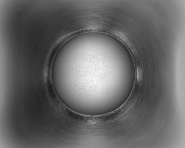 X0000088900579200706081307