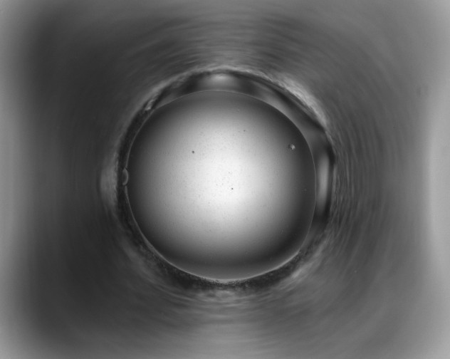 X0000088900580200706081307