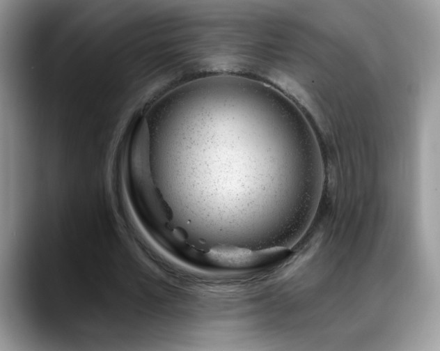 X0000088900581200706081307