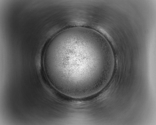 X0000088900582200706081307