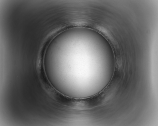 X0000088900583200706081307