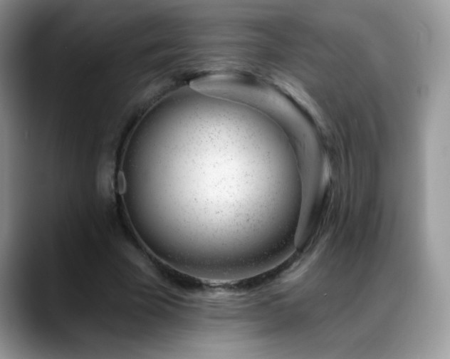 X0000088900585200706081307
