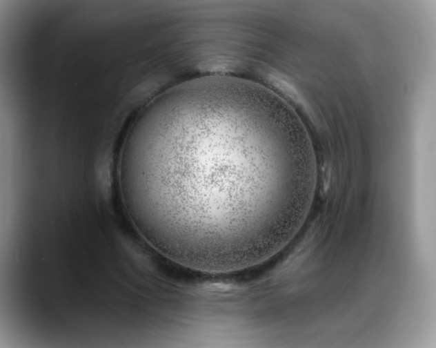 X0000088900586200706081307
