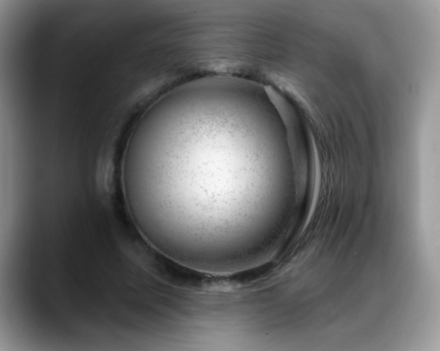 X0000088900587200706081307