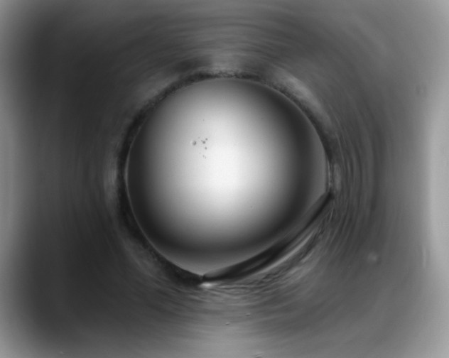 X0000088900588200706081307
