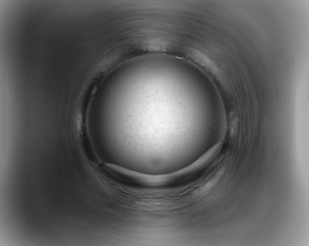 X0000088900589200706081307