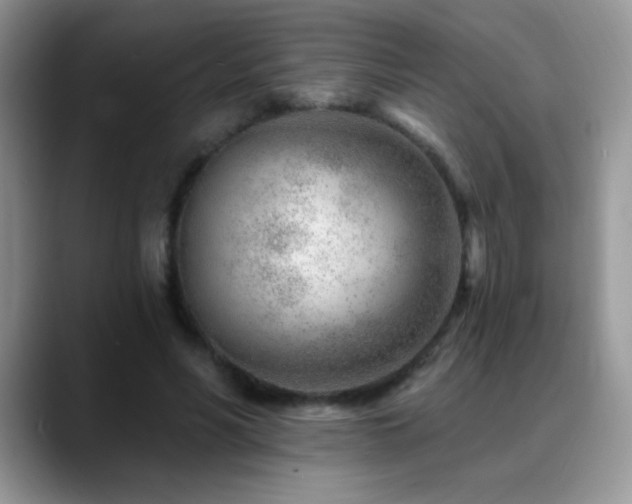 X0000088900590200706081307