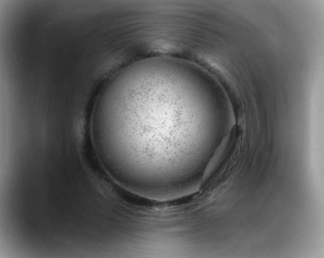 X0000088900591200706081307