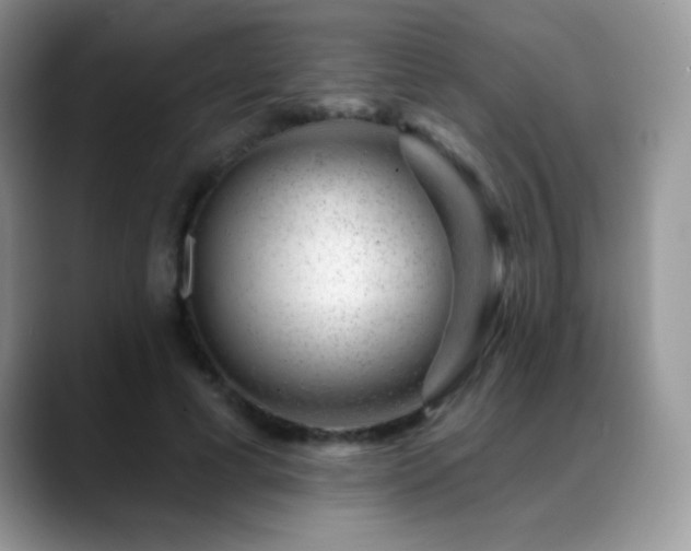 X0000088900593200706081307