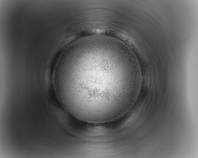 X0000088900594200706081307