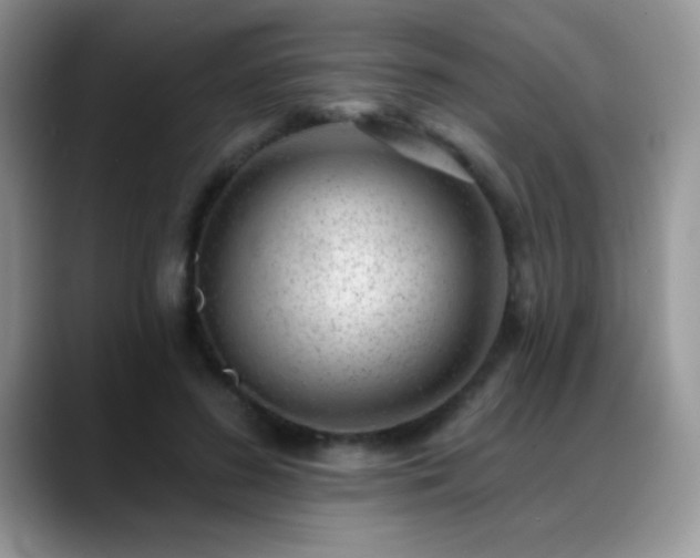 X0000088900596200706081307