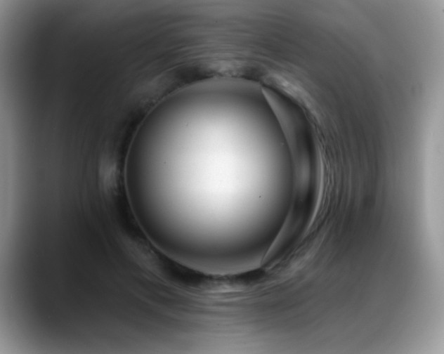 X0000088900597200706081307