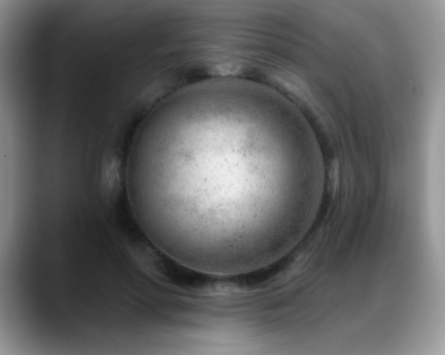 X0000088900598200706081307