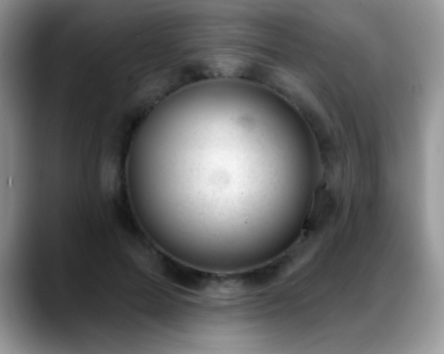 X0000088900599200706081307