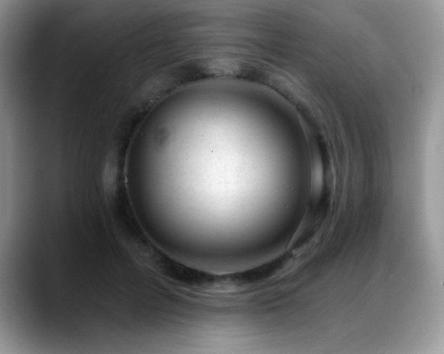X0000088900600200706081307