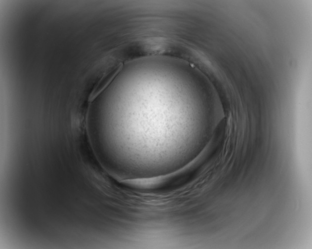 X0000088900601200706081307