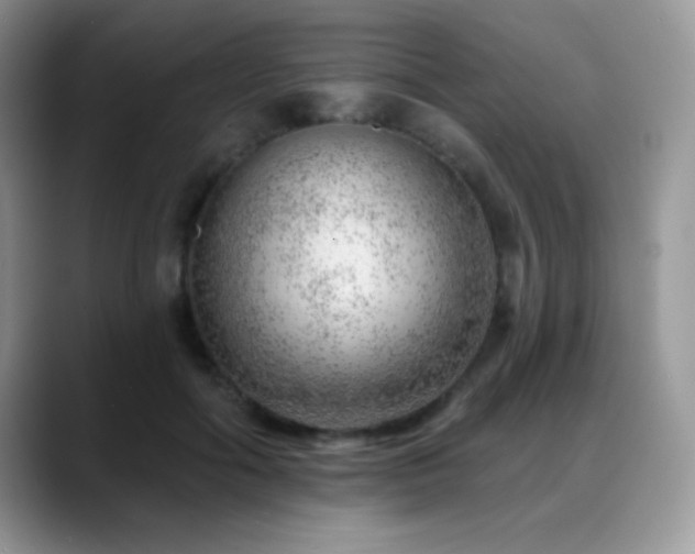 X0000088900602200706081307