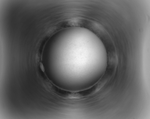 X0000088900603200706081307