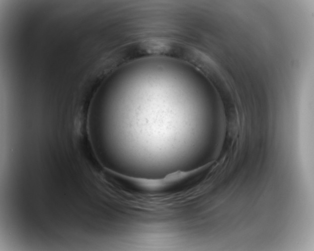X0000088900604200706081307