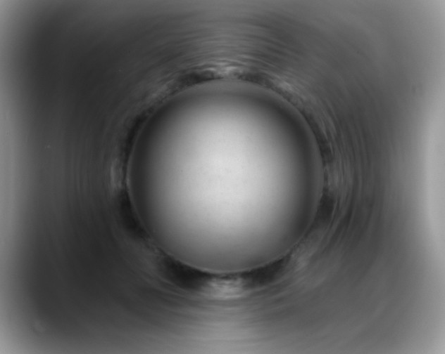 X0000088900606200706081307