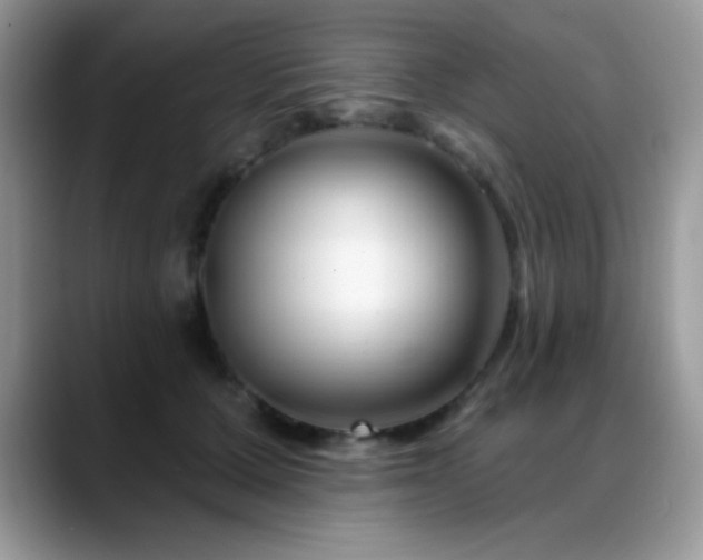 X0000088900607200706081307