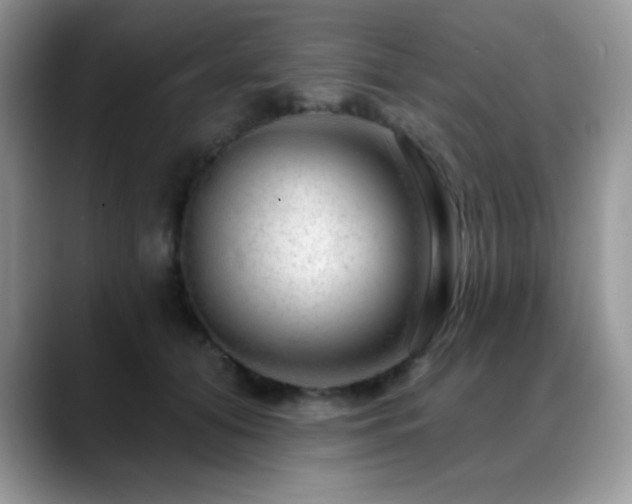 X0000088900608200706081307