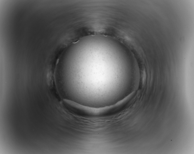 X0000088900609200706081307