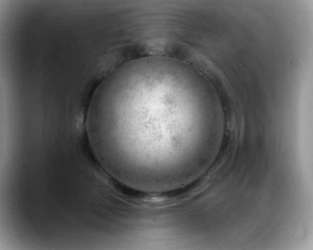 X0000088900610200706081307