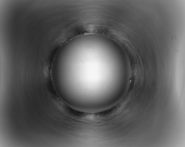 X0000088900611200706081307