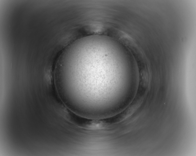 X0000088900612200706081307