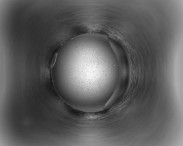 X0000088900613200706081307
