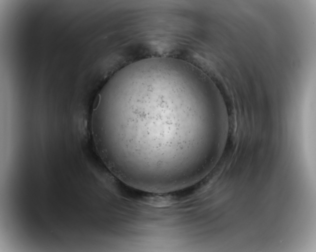 X0000088900615200706081307