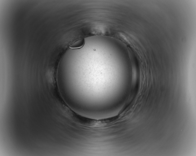 X0000088900616200706081307