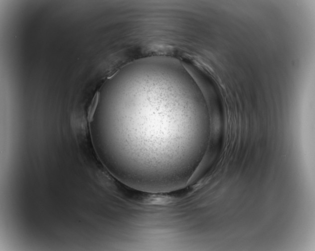 X0000088900617200706081307