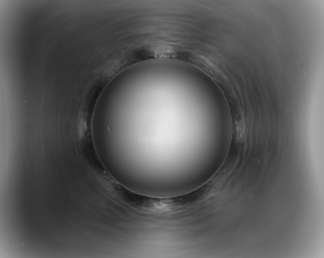 X0000088900618200706081307