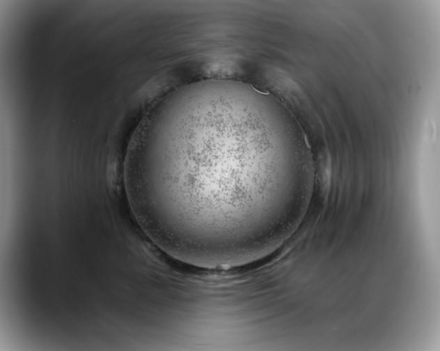 X0000088900619200706081307