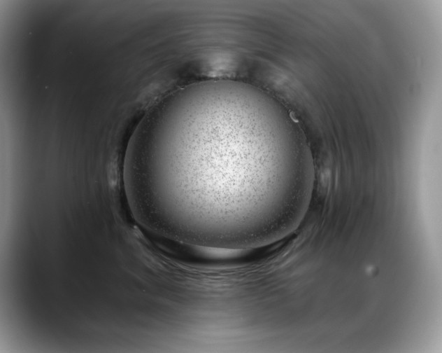 X0000088900620200706081307