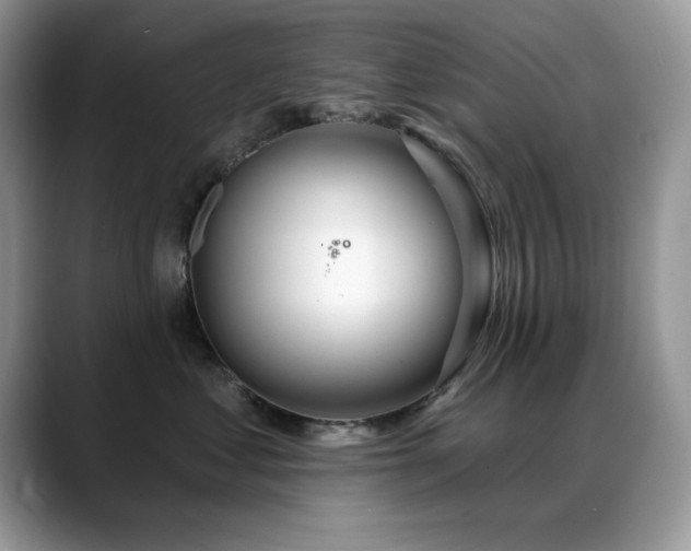 X0000088900621200706081307