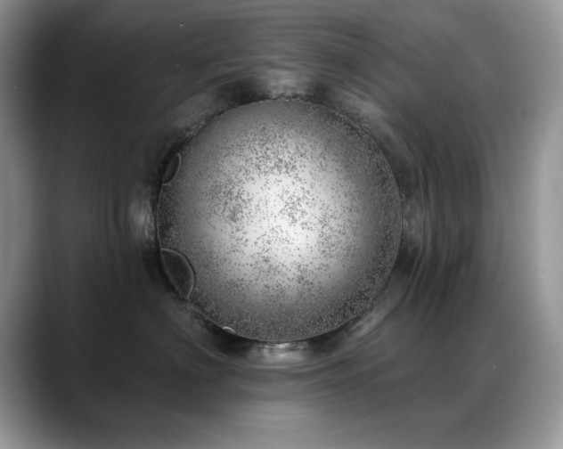 X0000088900622200706081307