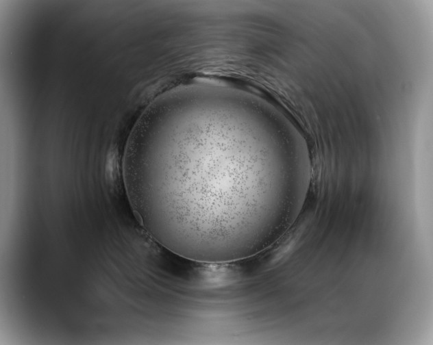 X0000088900623200706081307